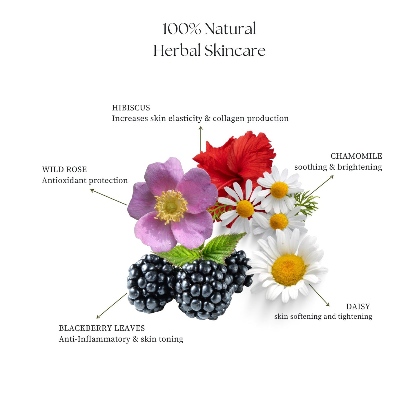 Skin Smoothing and Restoring Face Oil