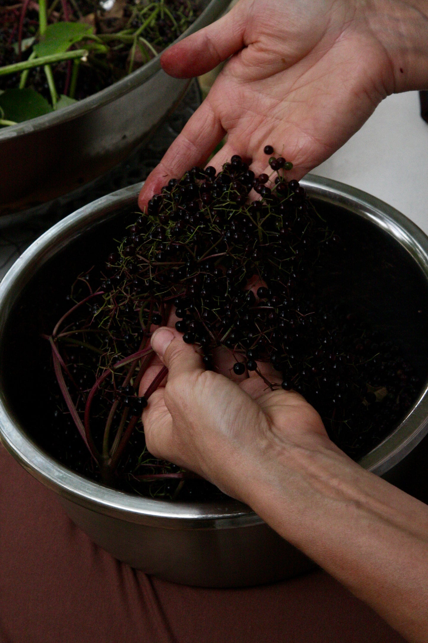 Elderberry Syrup w/Raw Honey