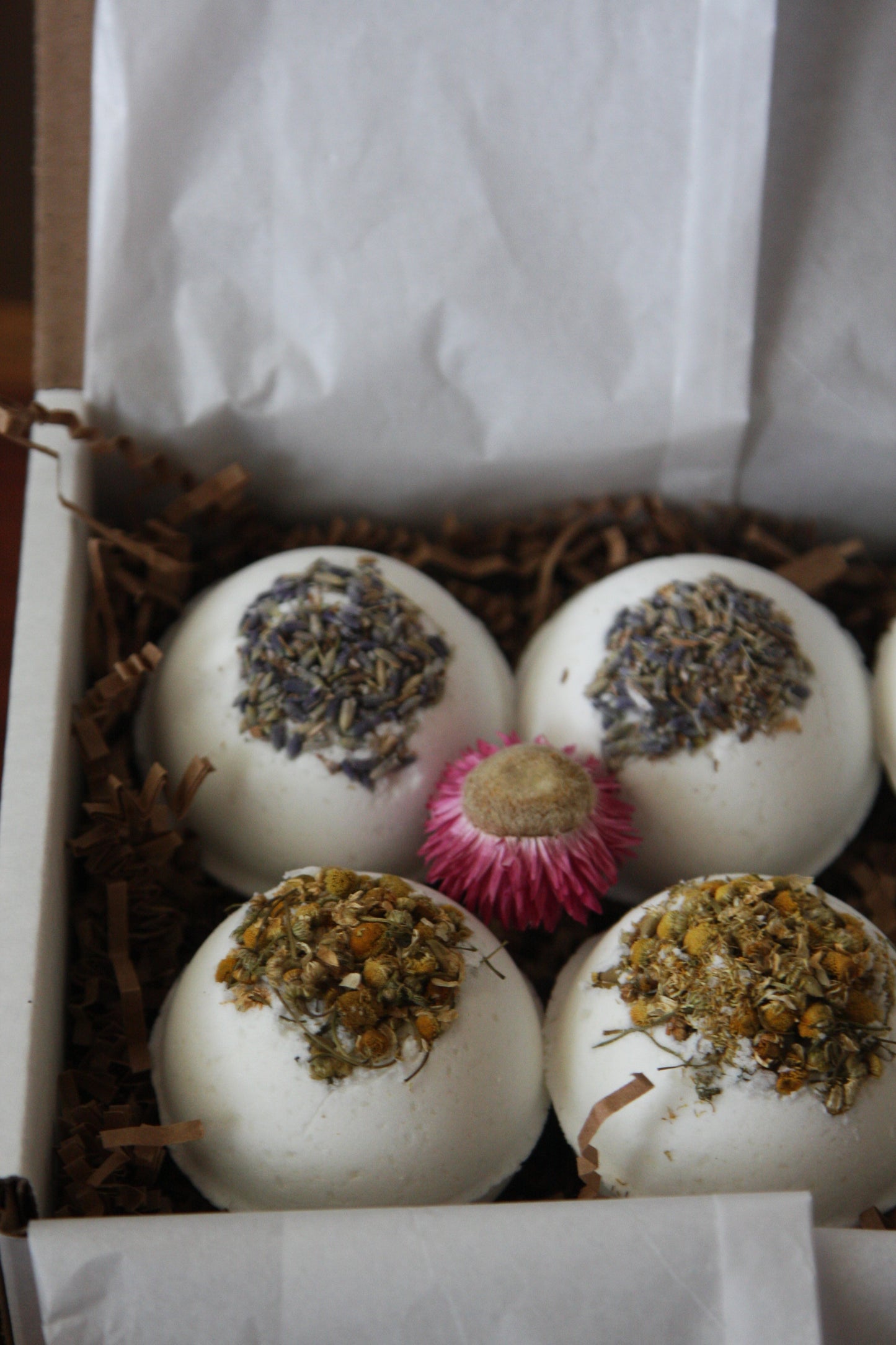 Gift Set - Handmade Botanical Bath Bombs