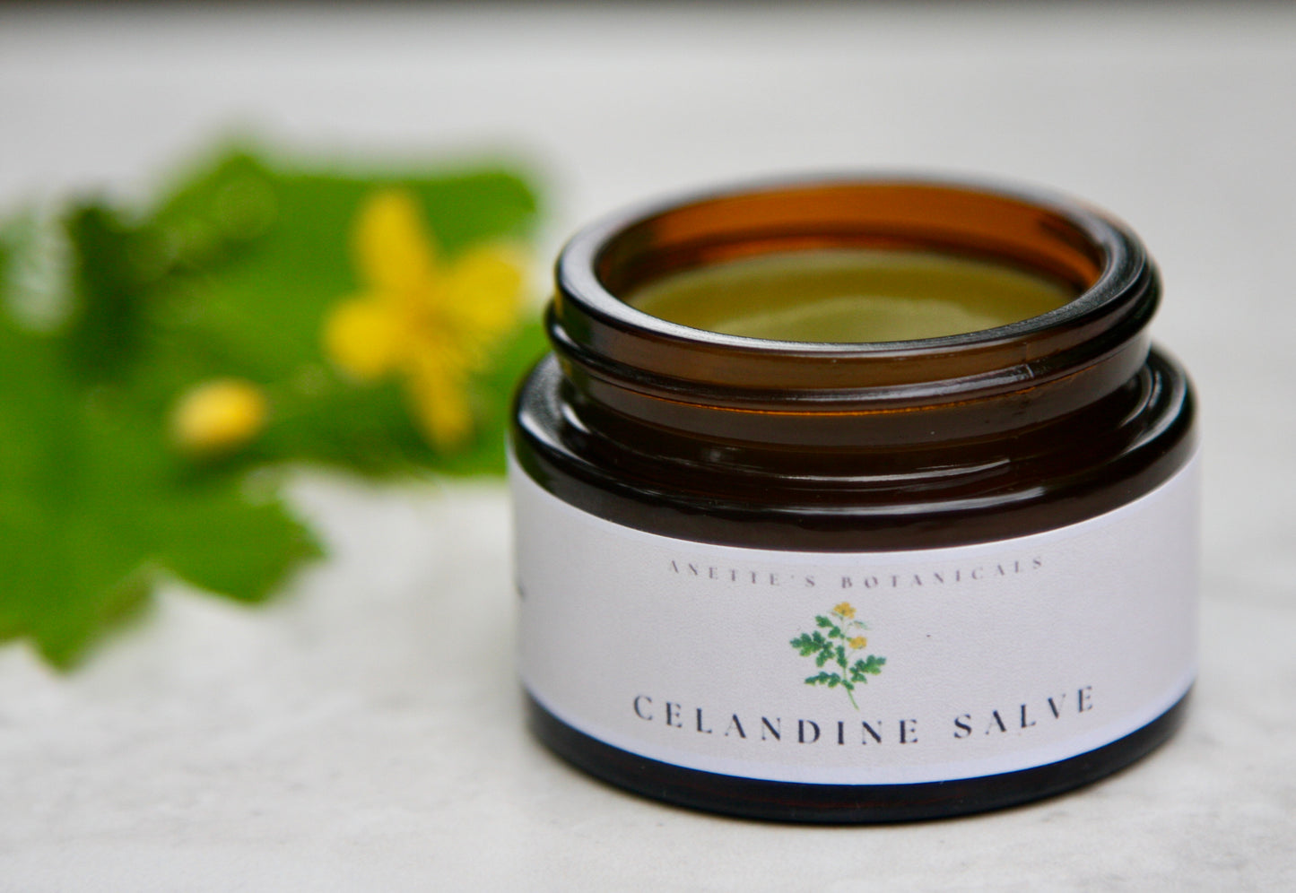 Celandine Skin Restorative Salve