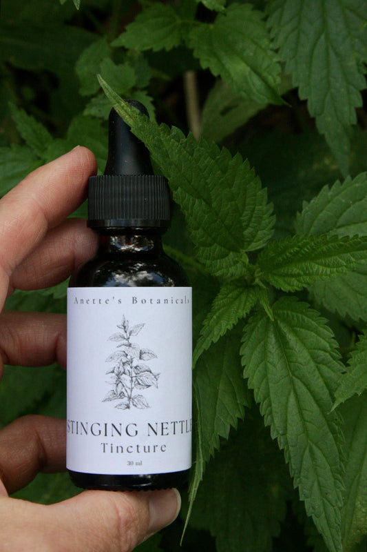 Allergy and Inflammation Support Stinging Nettle Tincture*