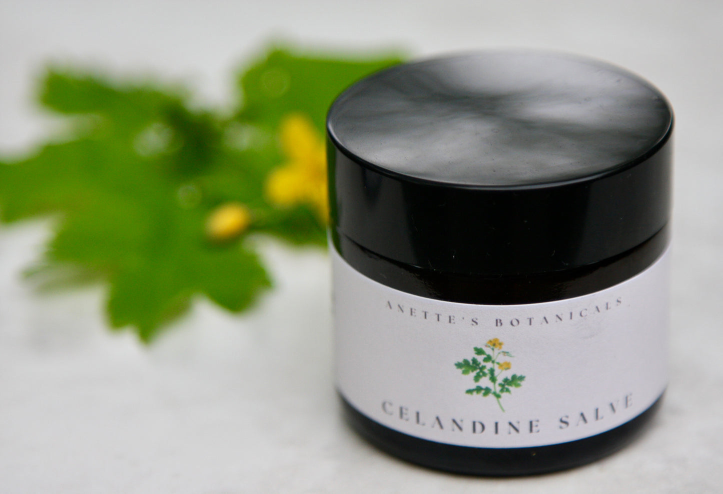 Celandine Skin Restorative Salve