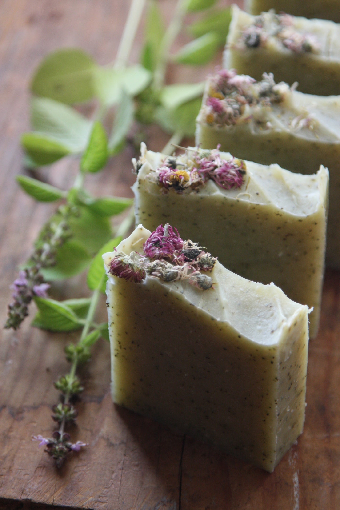 Sacred Tulsi Basil Hydrosol Soap