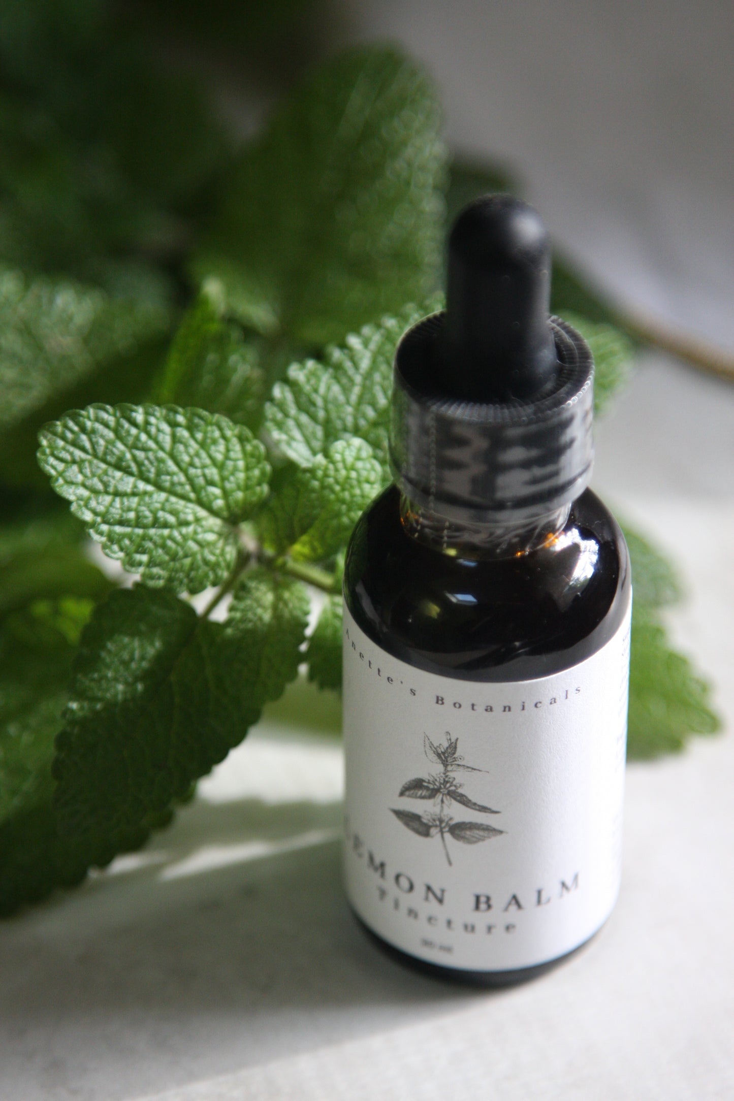 Lemon Balm Tincture - Relaxant and Antispasmodic