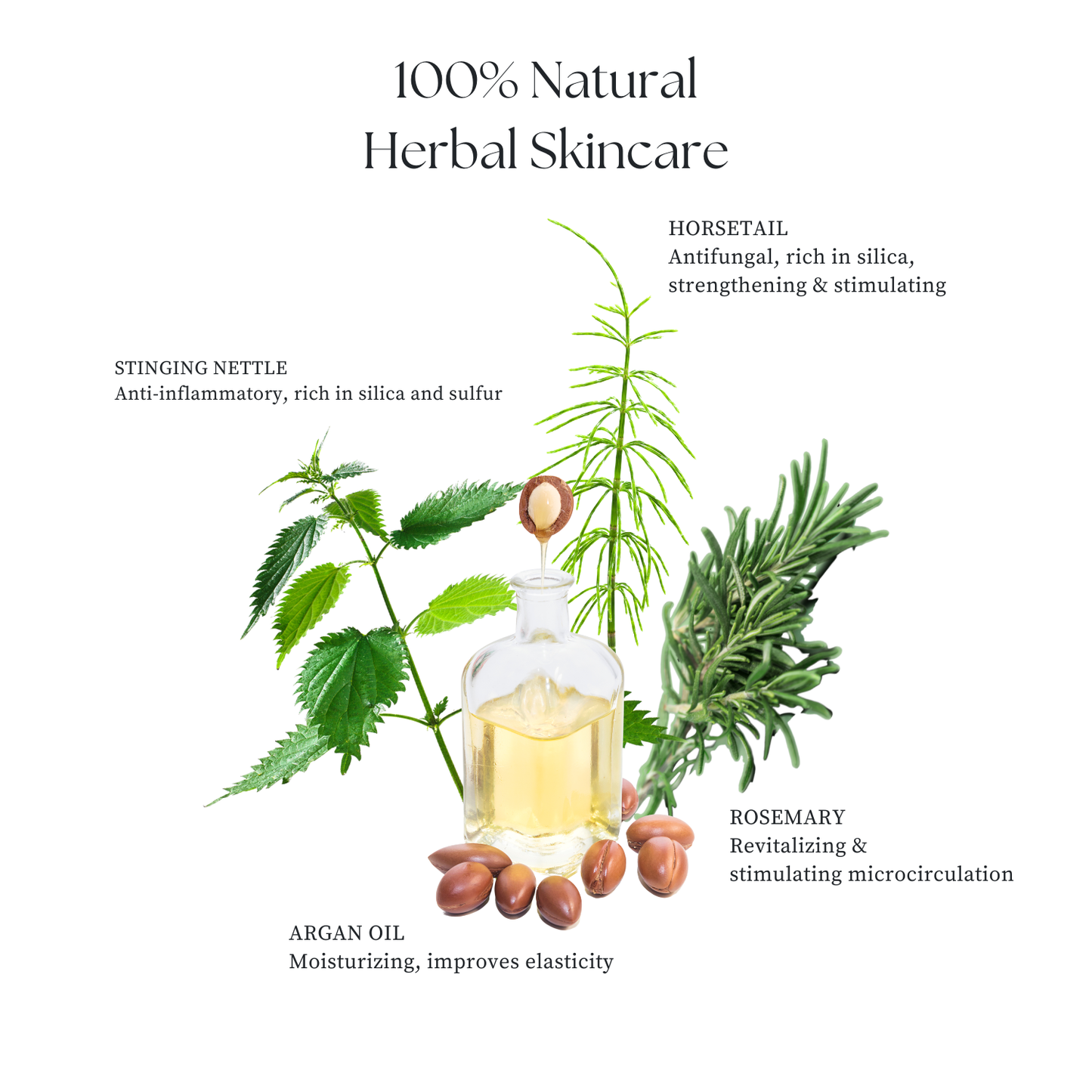 Hair&Scalp Extra Strength Treatment Oil - Stinging Nettle, Horsetail and Rosemary Herbs