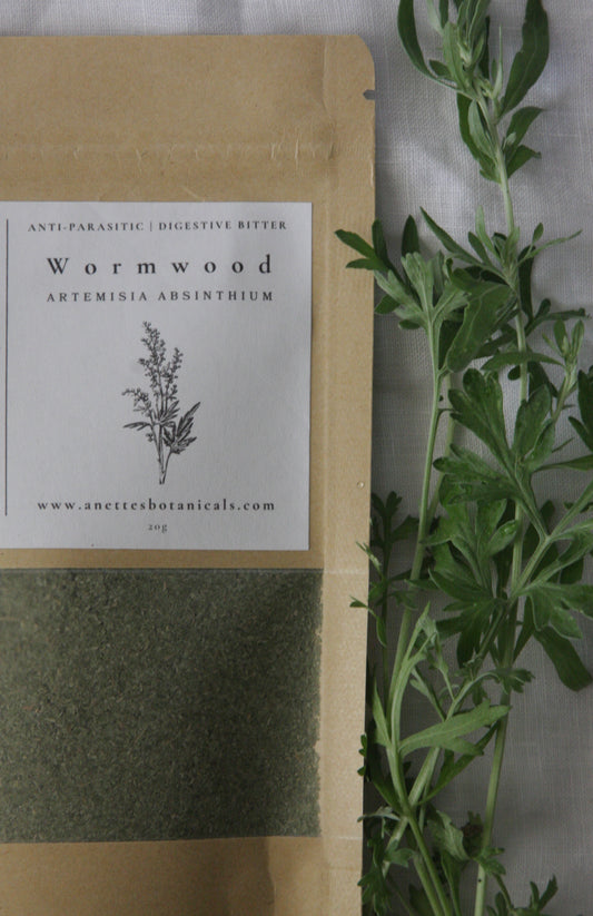 Wormwood Herb: Anti-Parasitic & Digestive Bitter