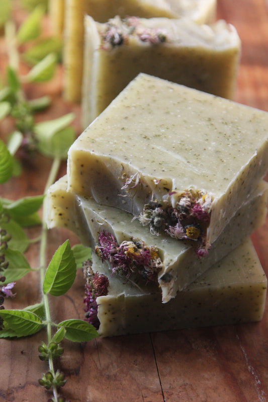Sacred Tulsi Basil Hydrosol Soap