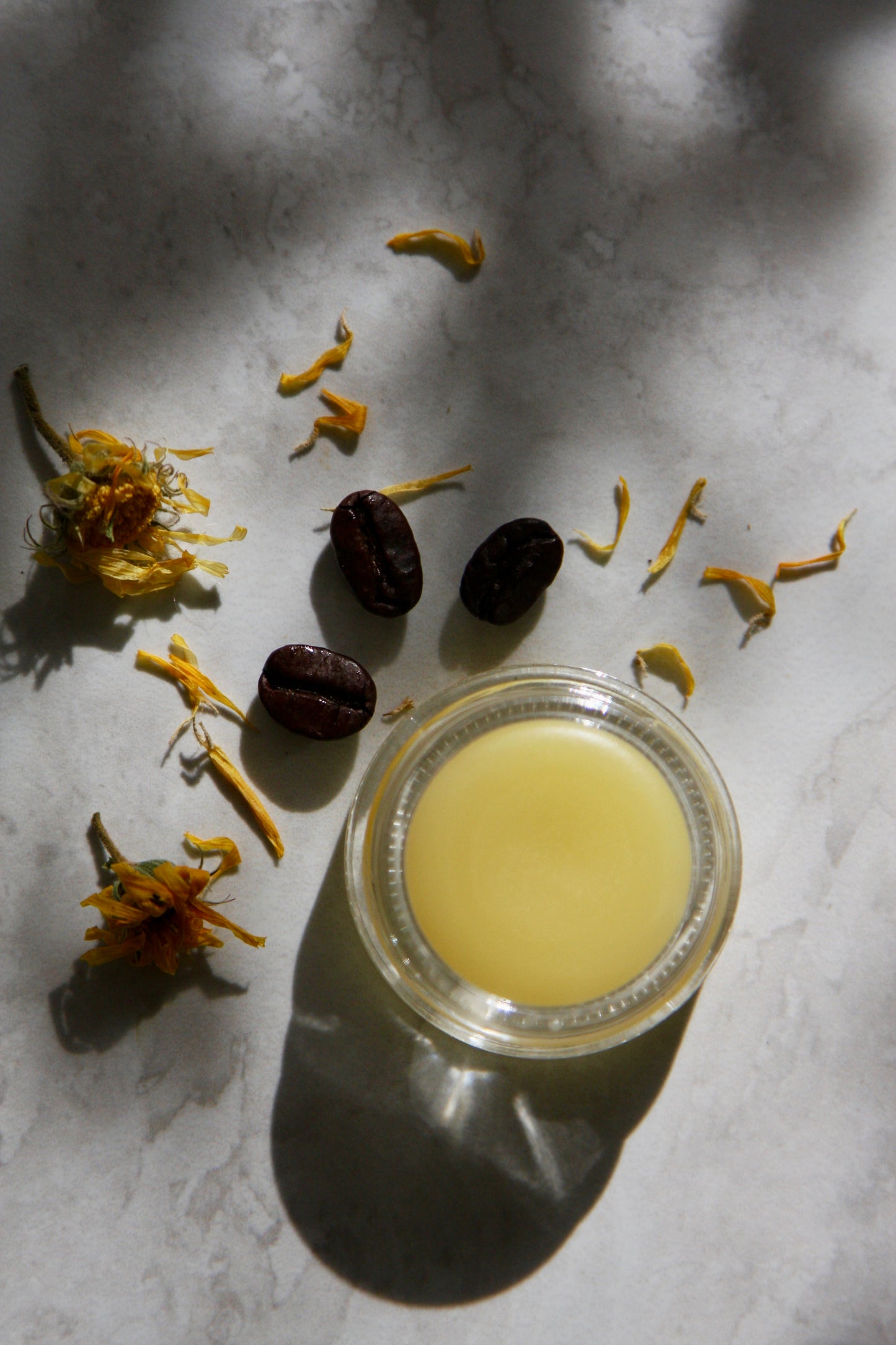 Lip Balms - Clear Vanilla Coffee Bean and Merlot w/Beet Root Powder