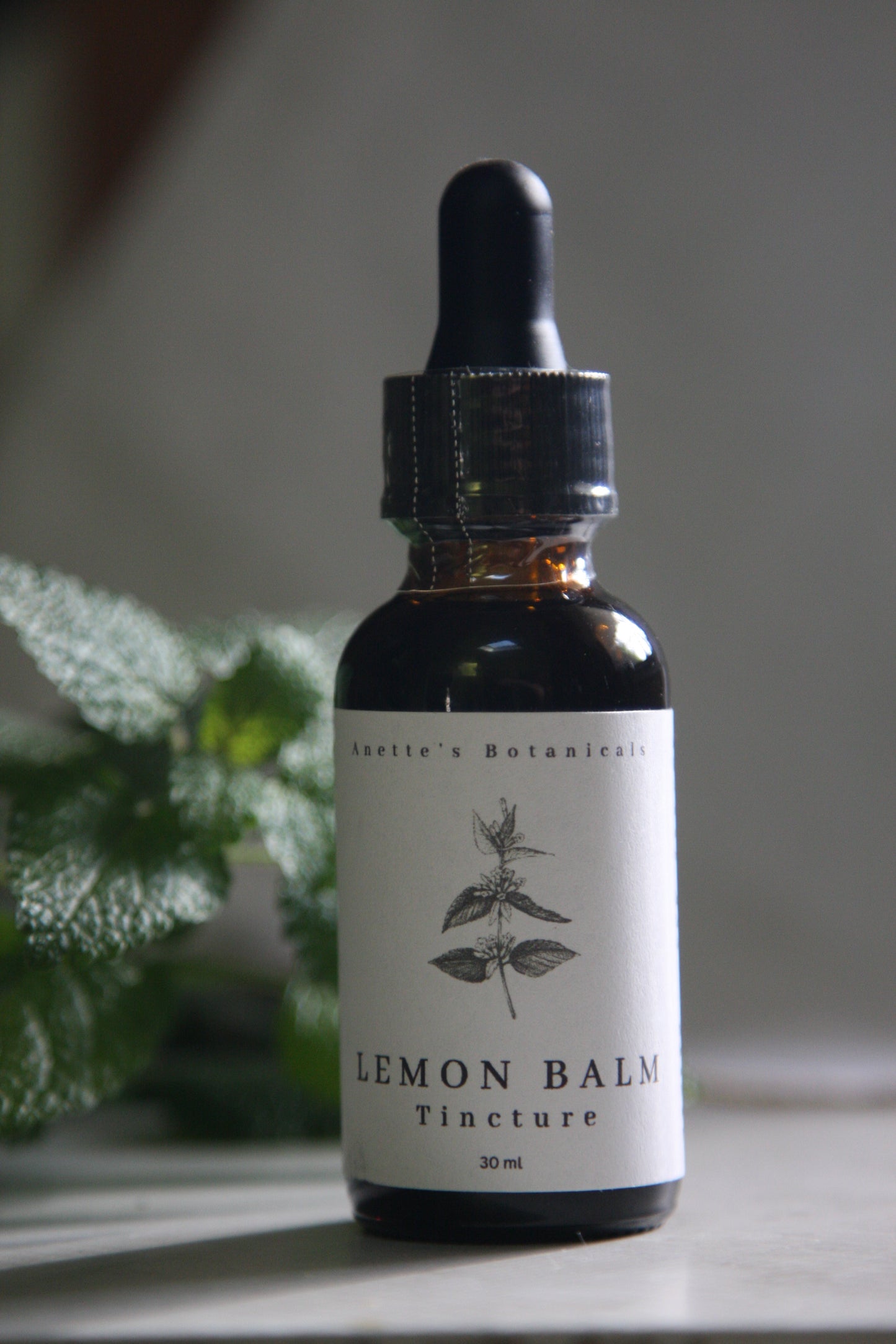 Lemon Balm Tincture - Relaxant and Antispasmodic