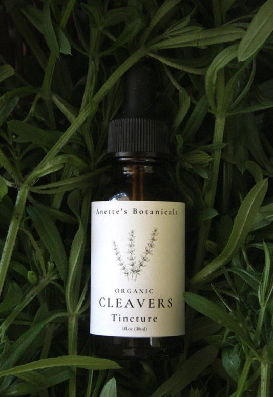 Lymphatic Support Cleavers Tincture*