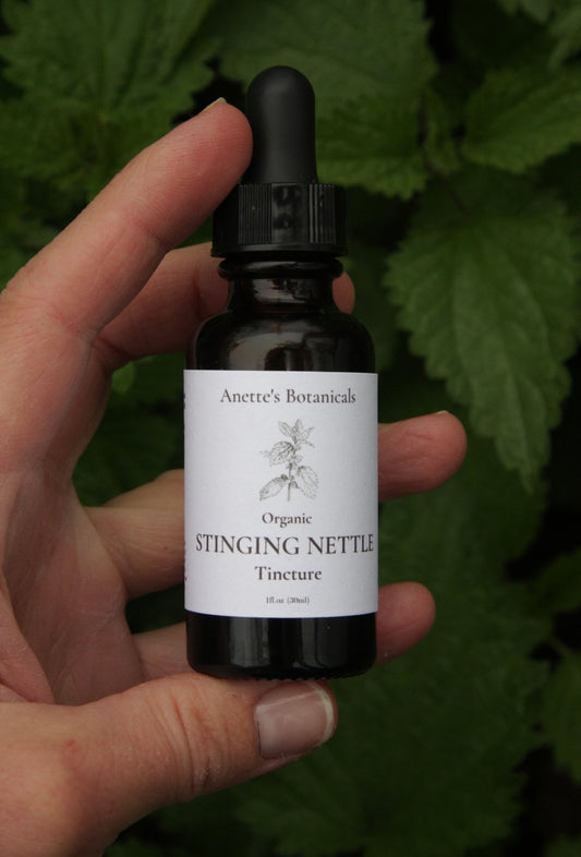 Allergy and Inflammation Support Stinging Nettle Tincture*