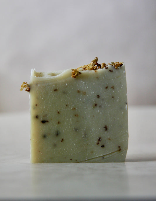 RENEW Sacred Tulsi Sweet Basil Hydrosol Soap