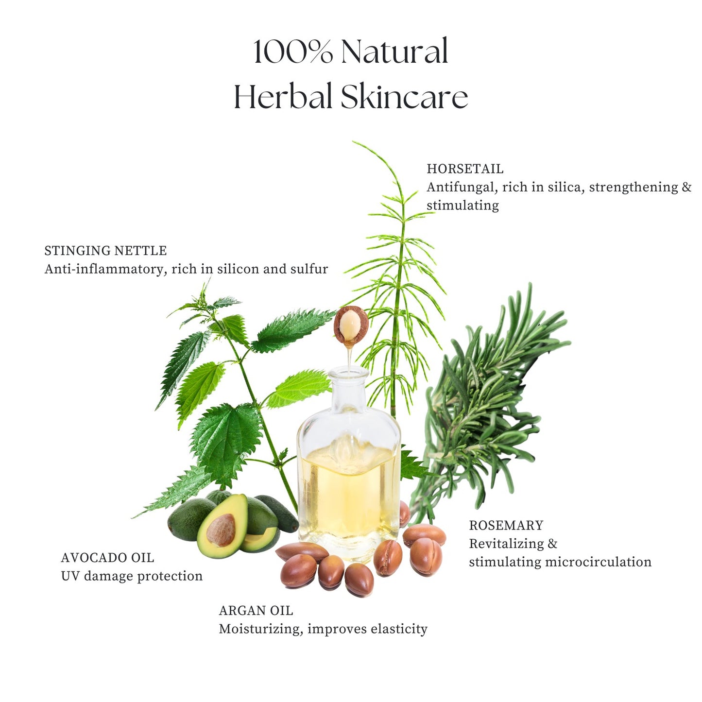 Hair Strengthening & Scalp Soothing - Rosemary, Nettles & Horsetail Herbs