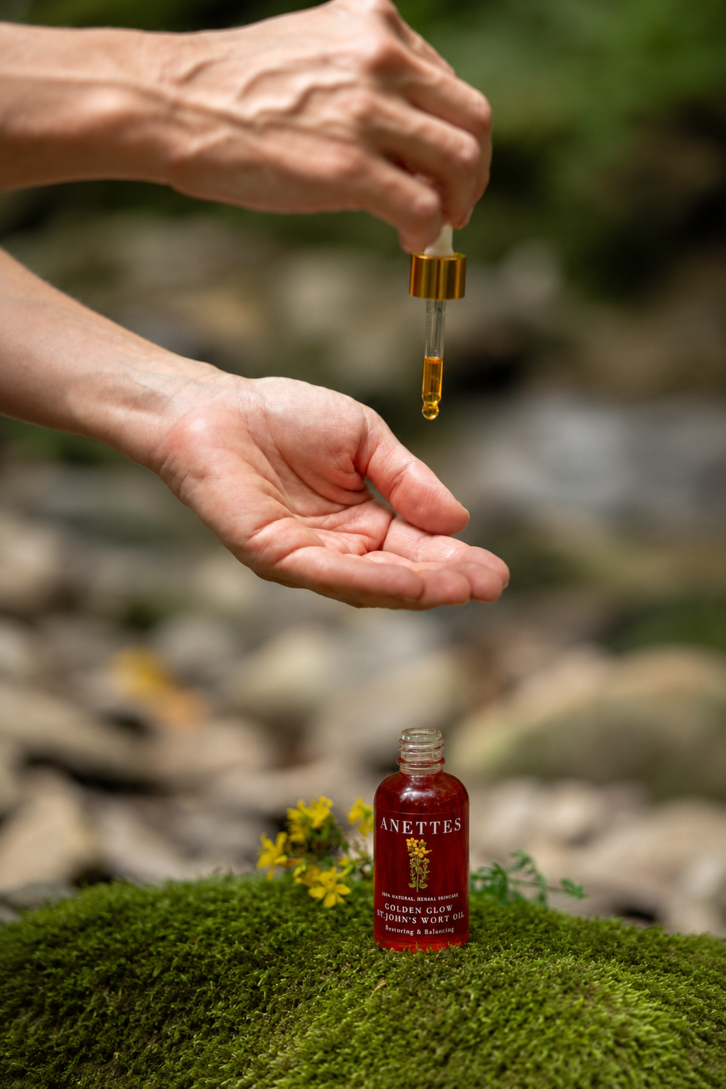 NEW St. John’s Wort Oil - Restoring & Balancing