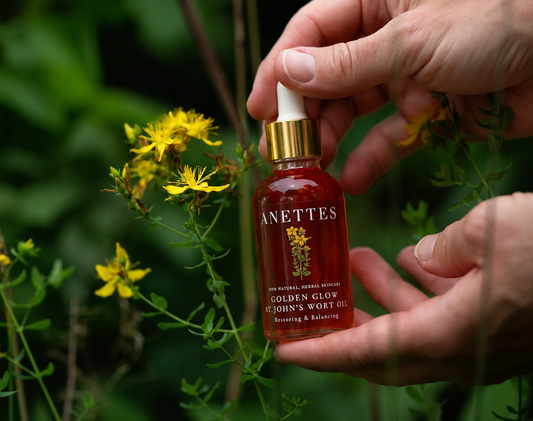 NEW St. John’s Wort Oil - Restoring & Balancing